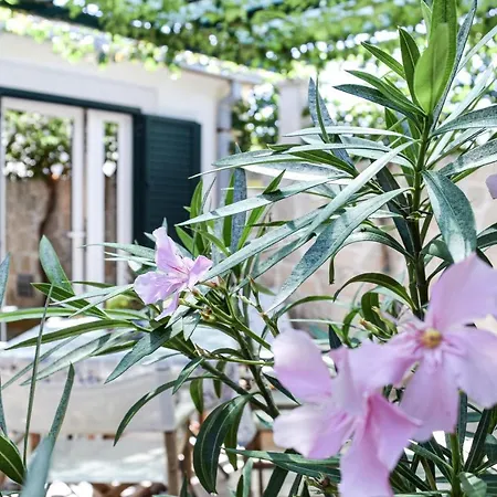 Gracin Povlja (Brac)